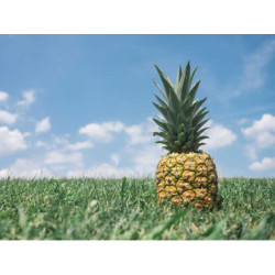 Small Marble Knife fr-FR